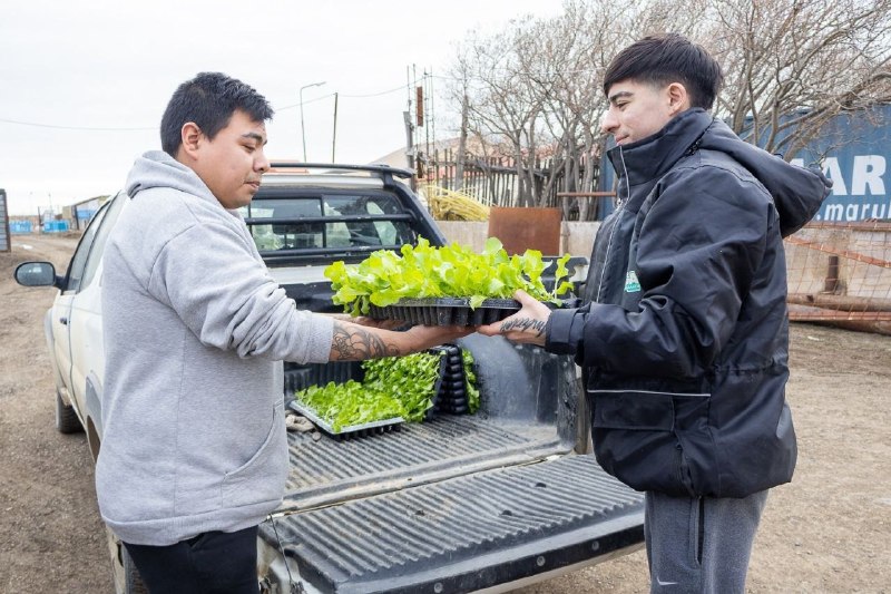 SOBERANÍA ALIMENTARIA EN CASA: YA ESTÁN ABIERTAS LAS INSCRIPCIONES PARA LA ENTREGA DE PLANTINES