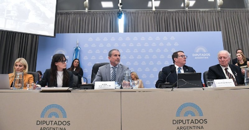 Presupuesto bajo fuego: cruces por discapacidad, fondos fiduciarios y el ajuste que niega el Gobierno