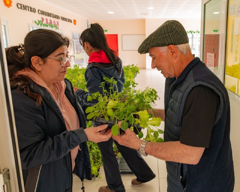 SOBERANÍA ALIMENTARIA EN CASA: EL MUNICIPIO ENTREGARÁ 50.000 PLANTINES Y ABRIRÁ NUEVOS CUPOS