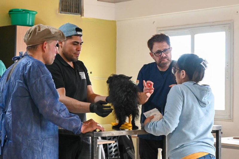 El Municipio de Tolhuin brinda recomendaciones para prevenir el moquillo canino
