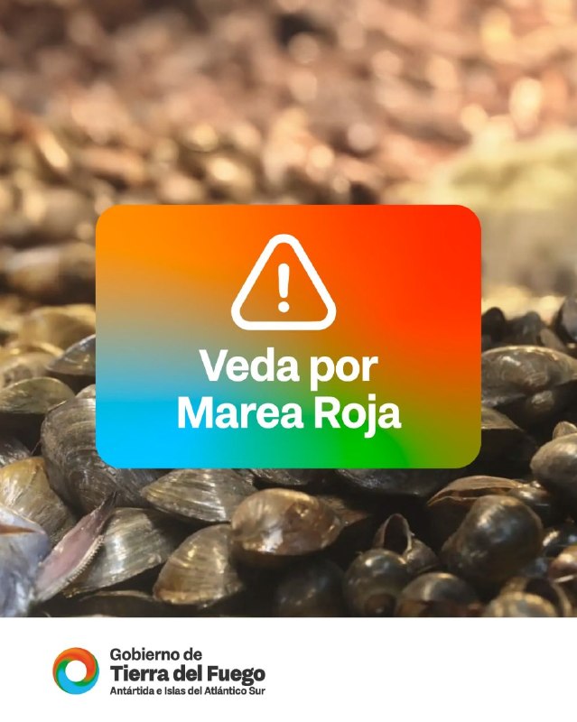 MAREA ROJA: ESTABLECEN LA VEDA DE MOLUSCOS EN SECTORES DEL CANAL BEAGLE Y TODA LA COSTA ATLÁNTICA PROVINCIAL