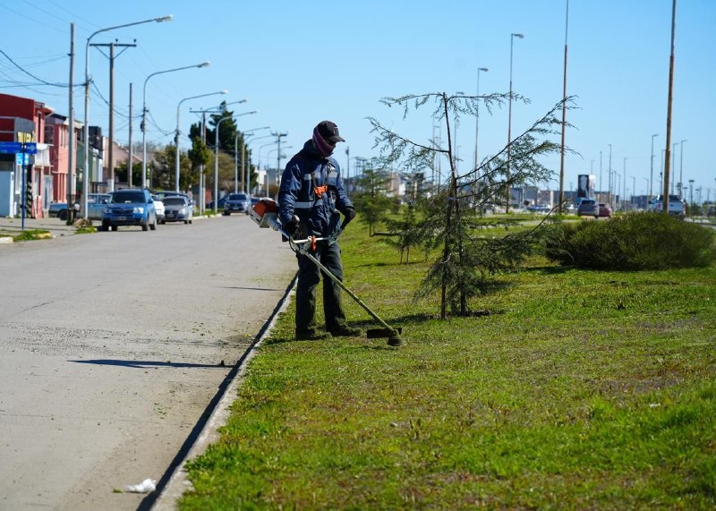 RÍO GRANDE SE PREPARA PARA LA TEMPORADA ESTIVAL CON TAREAS DE EMBELLECIMIENTO URBANO