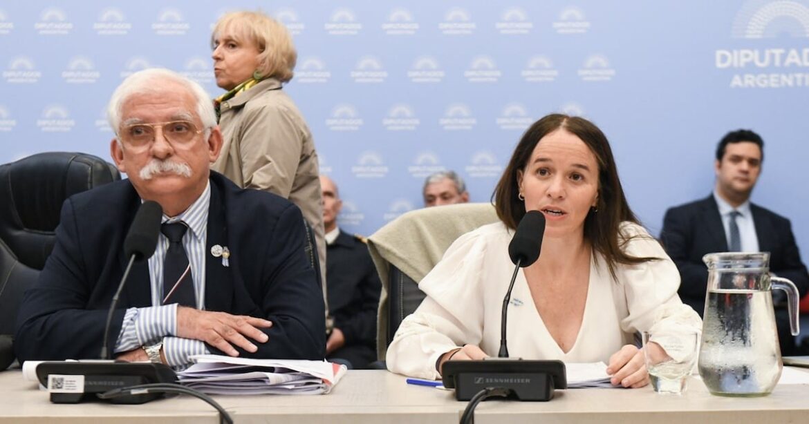 El CELS advierte sobre serios reparos constitucionales en el proyecto oficial de Defensa de la Soberanía