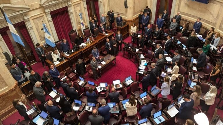 El Senado aprobó la reforma de Salud Mental tras un extenso debate y respaldó la participación de Villarruel en la recepción papal