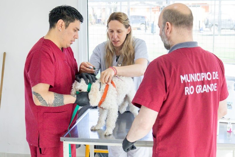 EL MUNICIPIO REALIZARÁ UNA NUEVA JORNADA DE VACUNACIÓN Y ADOPCIÓN DE MASCOTAS